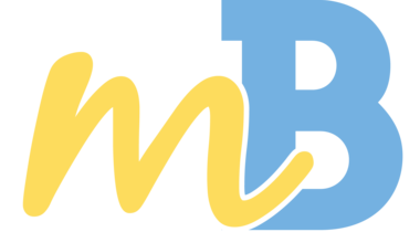 Logo und Link Mein Bernsdorf