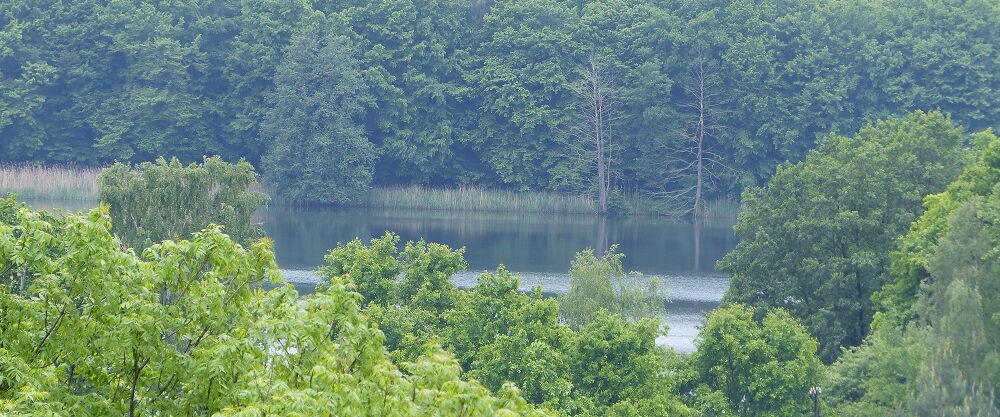 Foto Beatrice Wittke