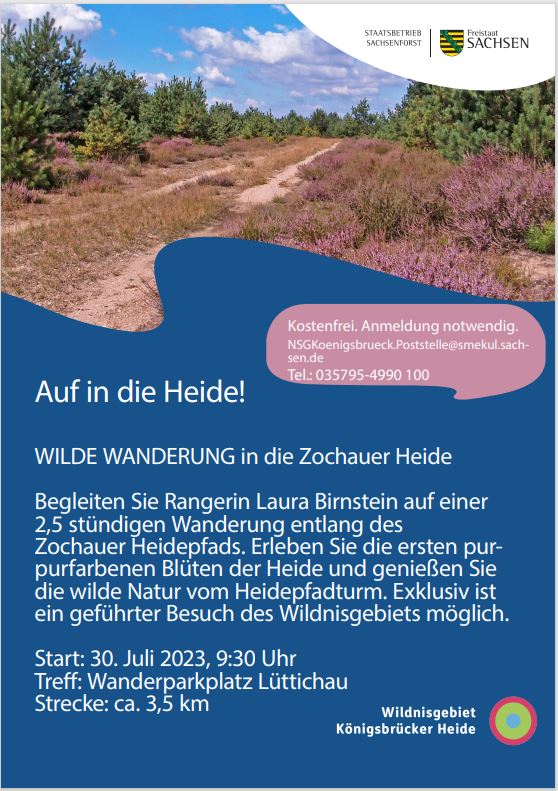 Auf in die Heide! Wilde Wanderung